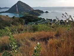 3 Kota di NTT Masuk Daftar Udara Terbersih, Kupang Terbaik se-Asia Tenggara!